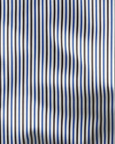 Blue & Brown Poplin Stripe