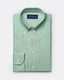green-poplin-micro-check