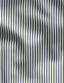 Twill Pencil Stripe