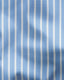 Twill Stripe Shirt - Button Down Collar