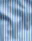 Twill Stripe Shirt - Medium Spread  Collar