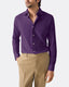 purple-poplin