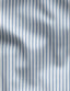 Poplin Needle Stripe